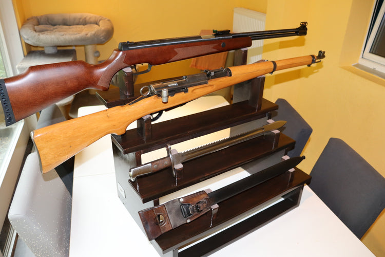 Renatos Spezial Auftrag